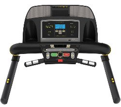 Livestrong LS13.0T Console